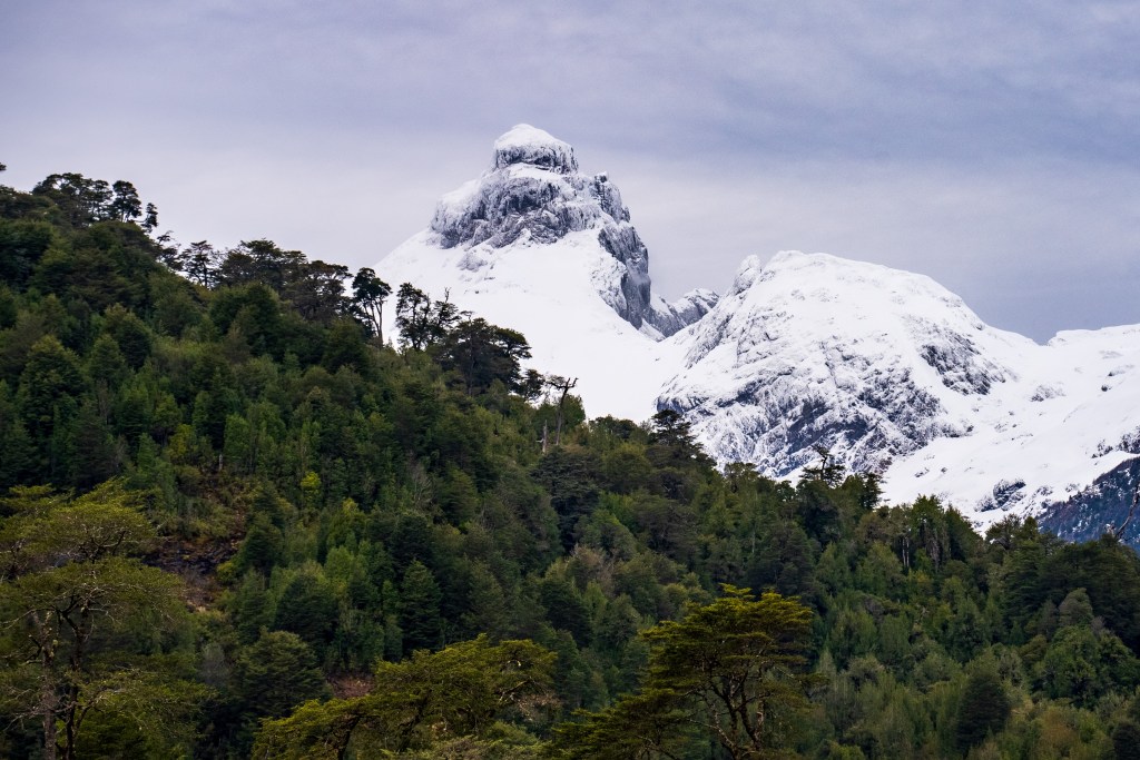 Day 6: Lago Yelcho to La&nbsp;Junta