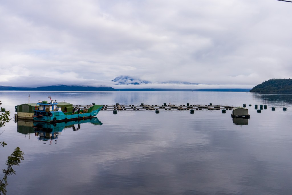 Day 12: Puerto Cisnes to Laguna las&nbsp;Torres