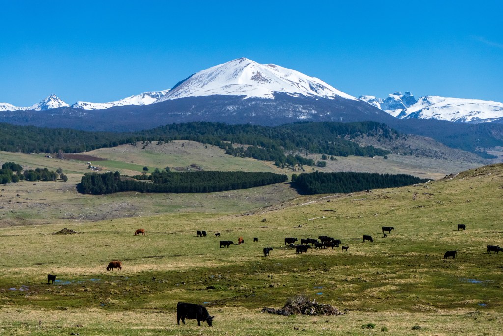 Day 14: Estero Azul Quarry to&nbsp;Coyhaique