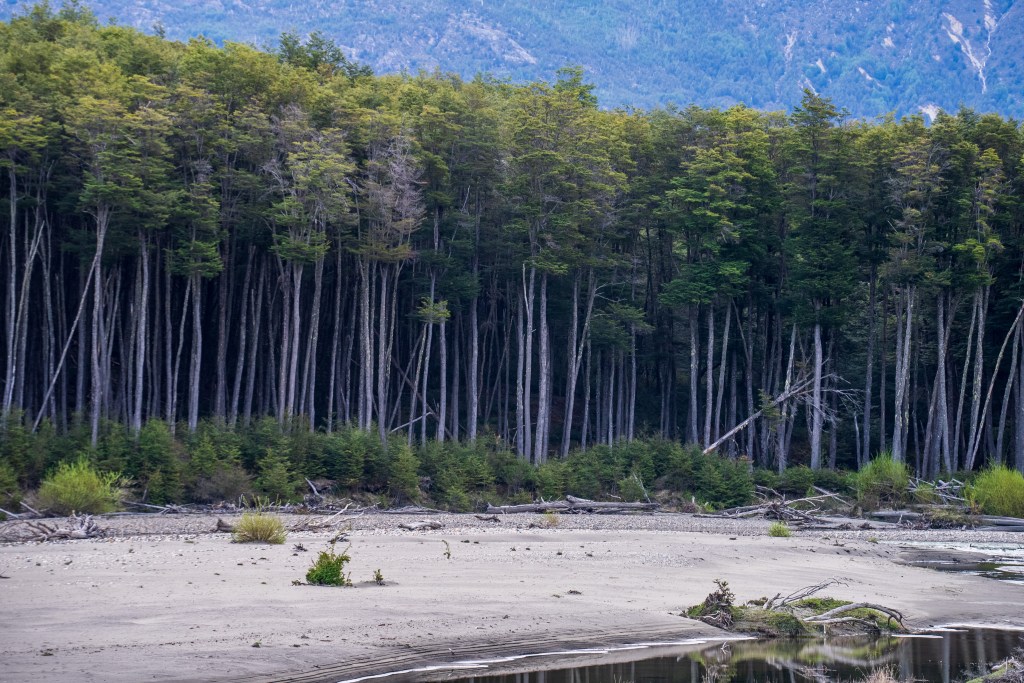 Day 23: Cochrane to La Araucaria&nbsp;Camp