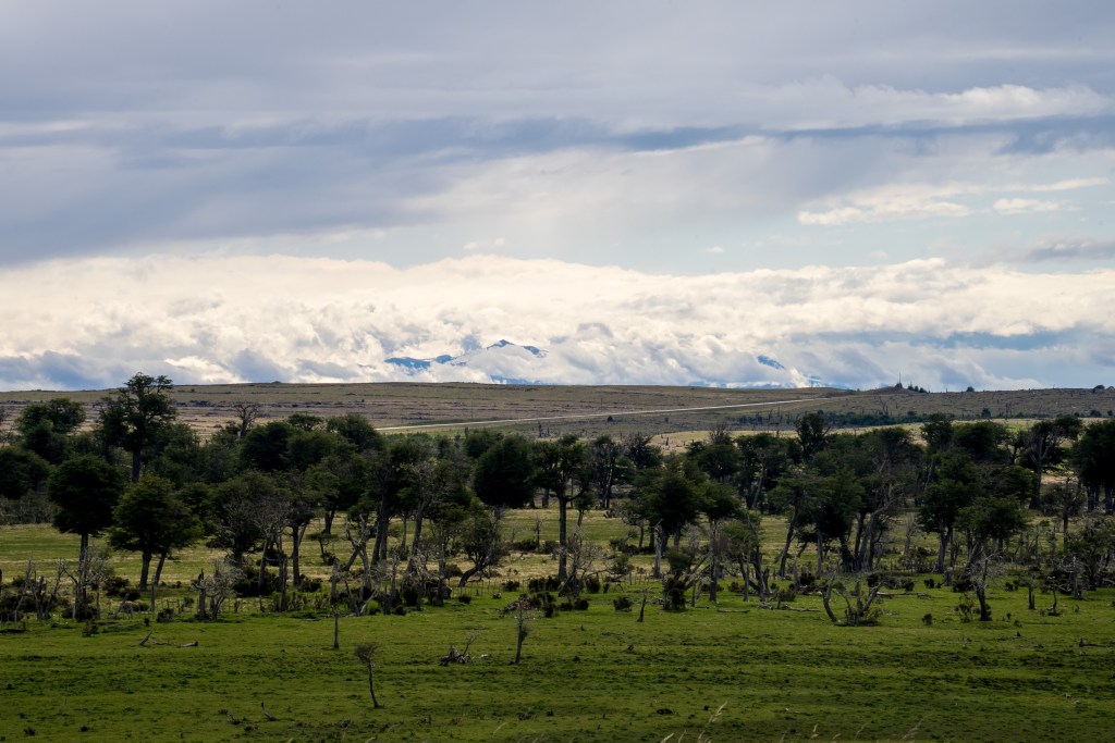 Day 42 & 43: Puerto Natales to Punta&nbsp;Arenas